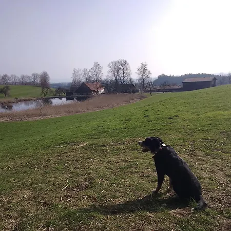Lisas Rum i privatbostad Waldburg